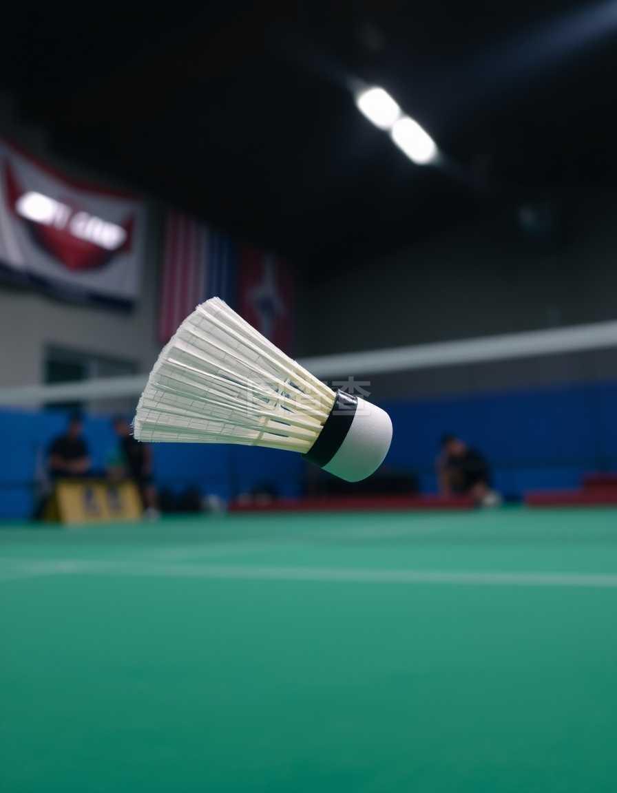 不仅证明了 不仅证明了