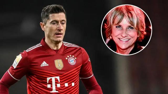 新赛季引援 新赛季引援