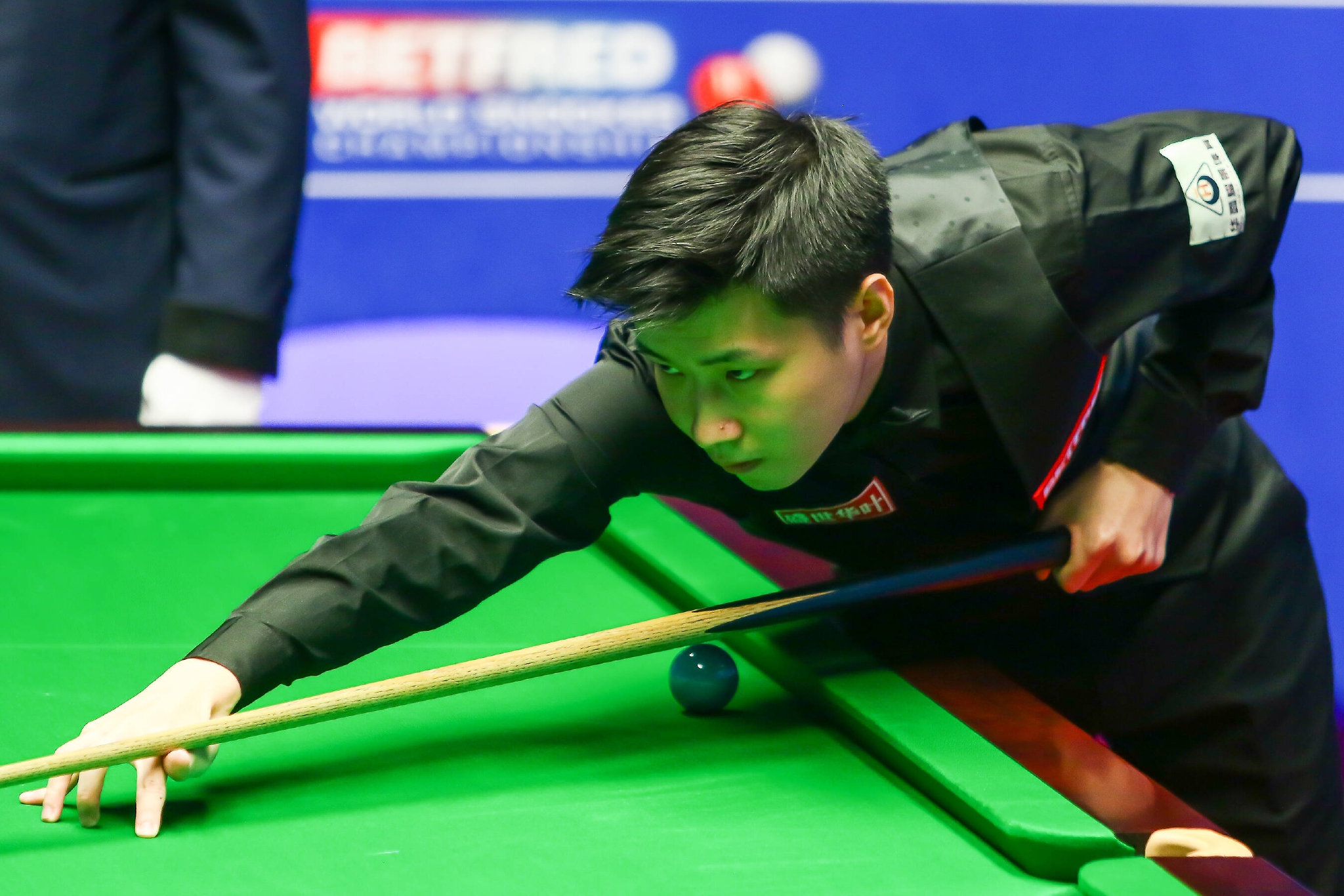 遇到阵容轮 遇到阵容轮