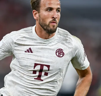 全面升级 全面升级