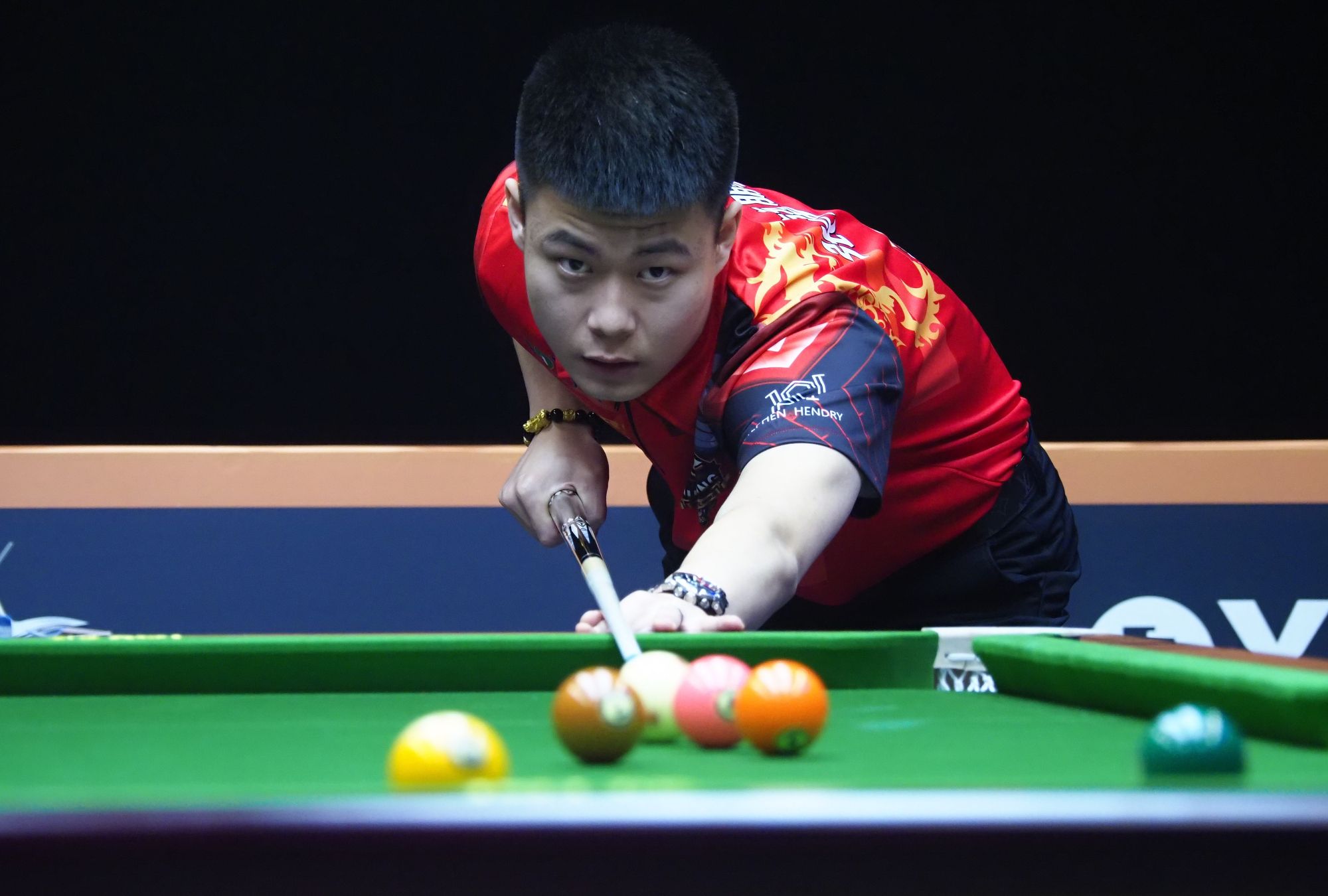 染料的使用 染料的使用