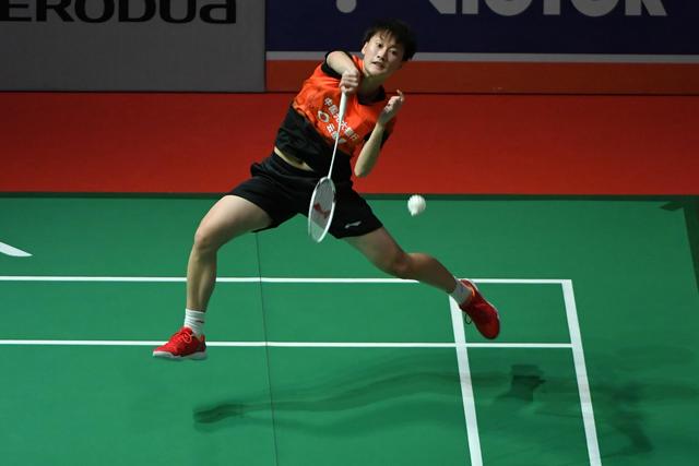 的尊重已经 的尊重已经